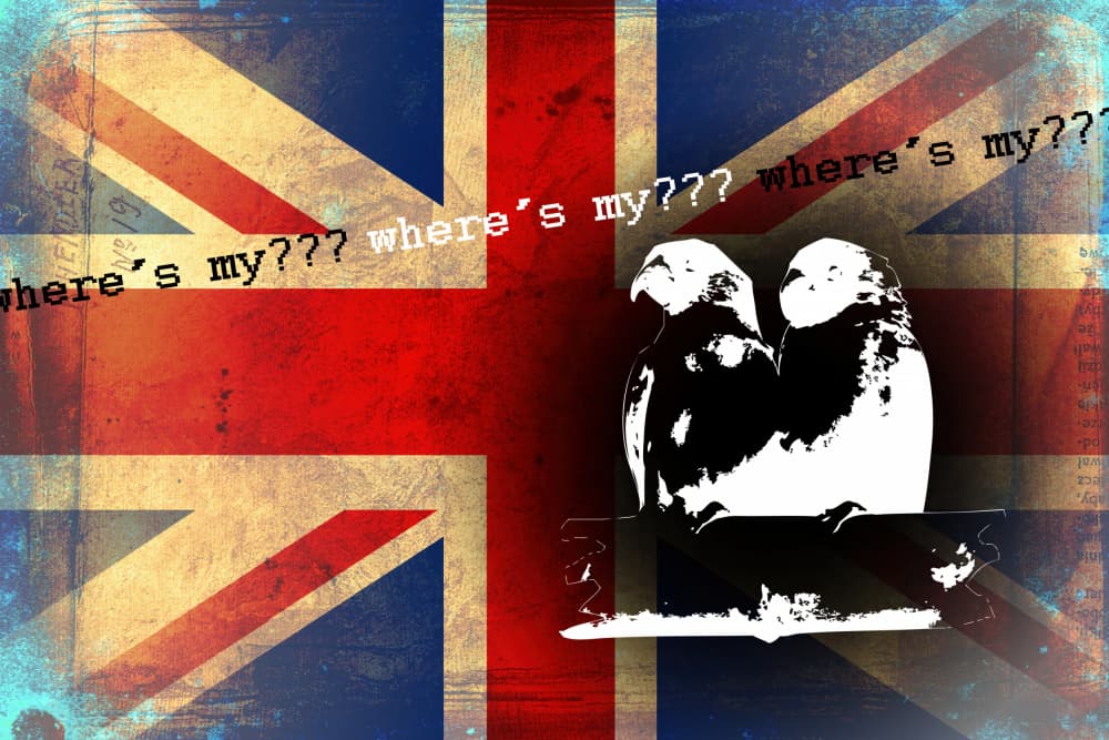 Where's My British Birds by Rafal Kulik — canvas wall art