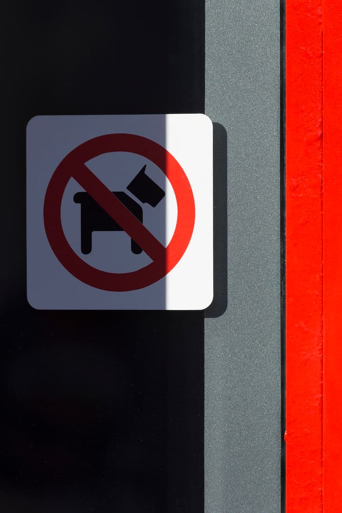 No Dogs Sign by Christopher Budny — canvas wall art