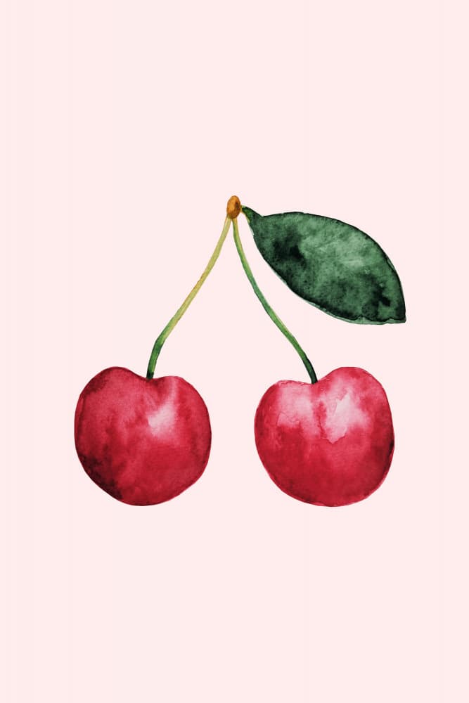 Watercolor Cherries by Karen Menzenbach — canvas wall art