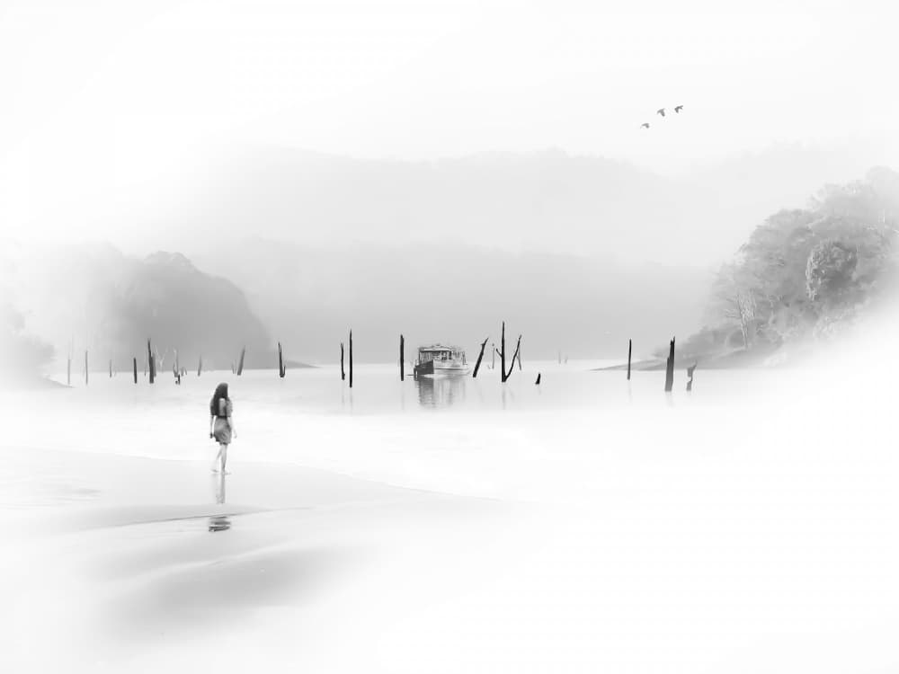 Woman On Misty Lake by Anita Singh — canvas wall art