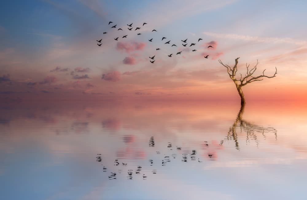 Pastel Sunset Reflection by Dorian Gray — canvas wall art