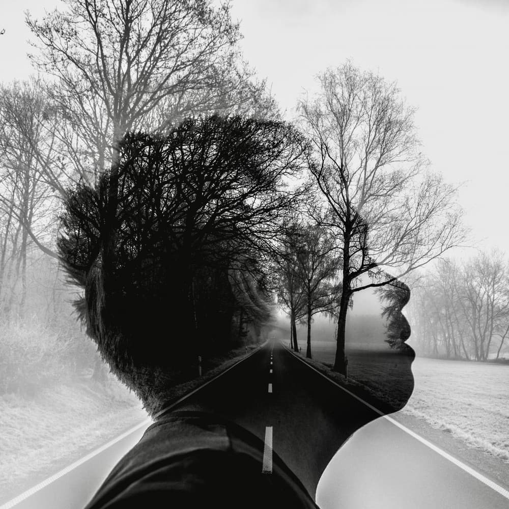 Mind's Winding Road by Robert Kuavi — canvas wall art