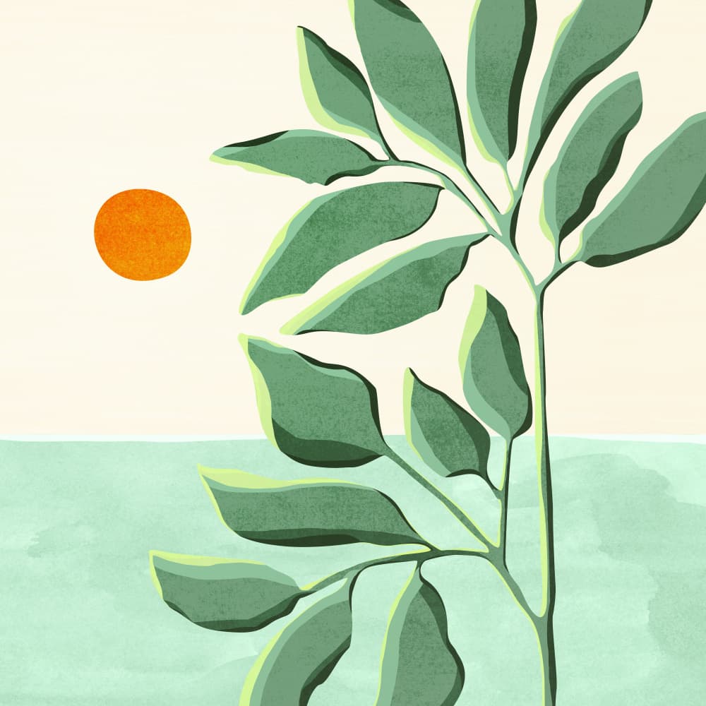 Sunset At the Beach House No2 by Kristian Gallagher — canvas wall art