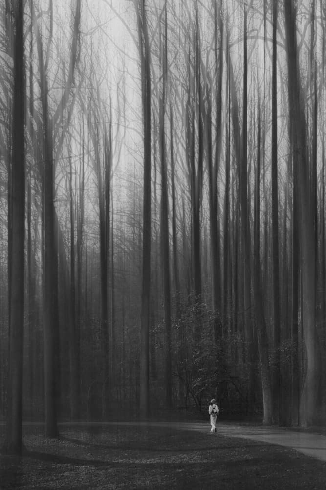 Ethereal Forest Walk by Yu Mao — canvas wall art