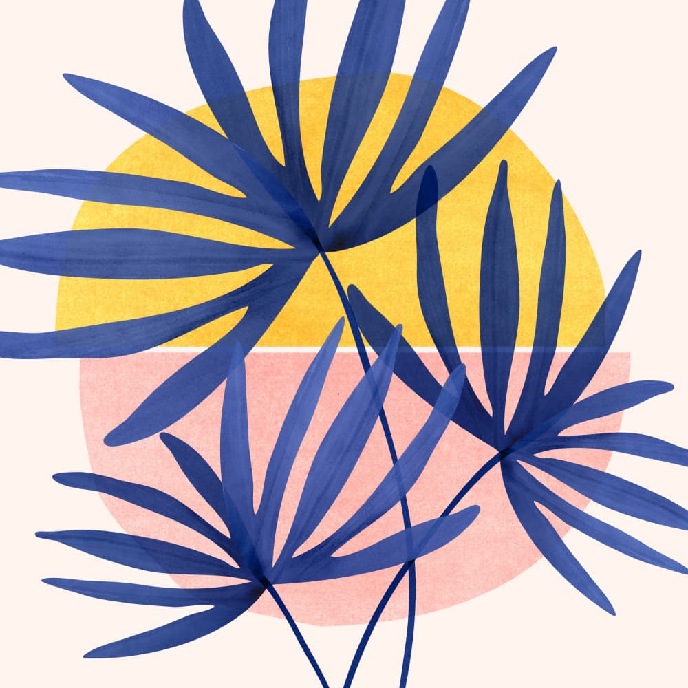 Fan Palm 1 by Kristian Gallagher — canvas wall art