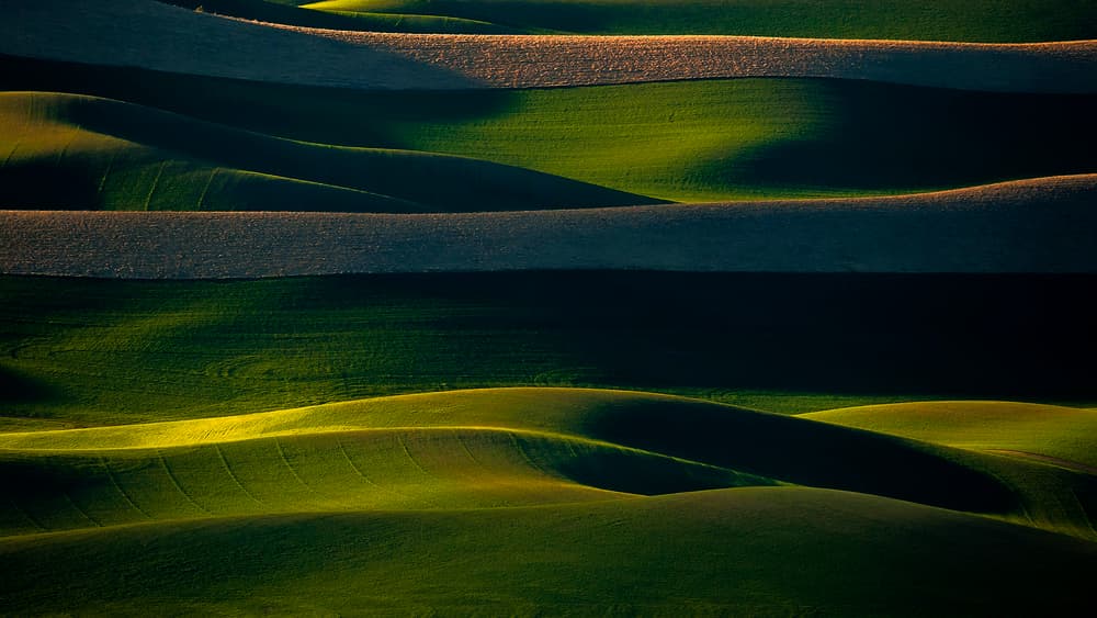 Sunlit Rolling Green Fields by David H Yang — canvas wall art
