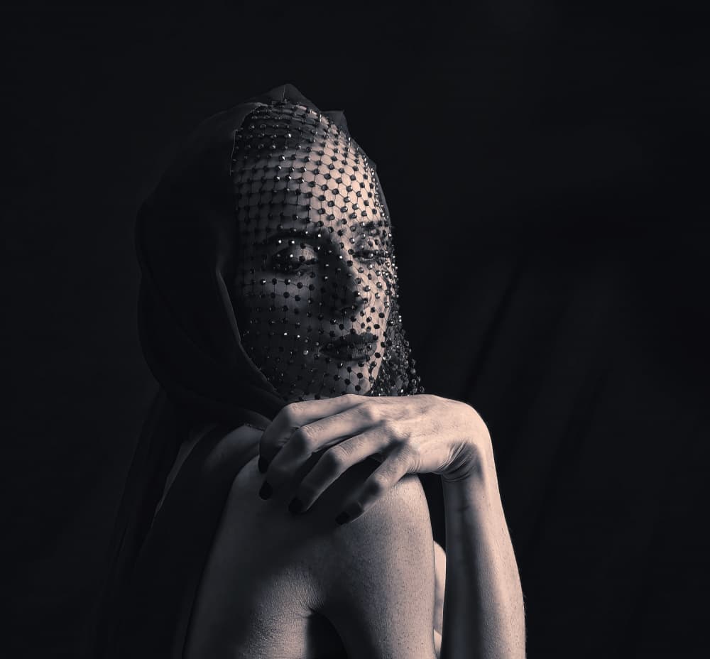 Mysterious Veiled Woman by Tali Stein — canvas wall art