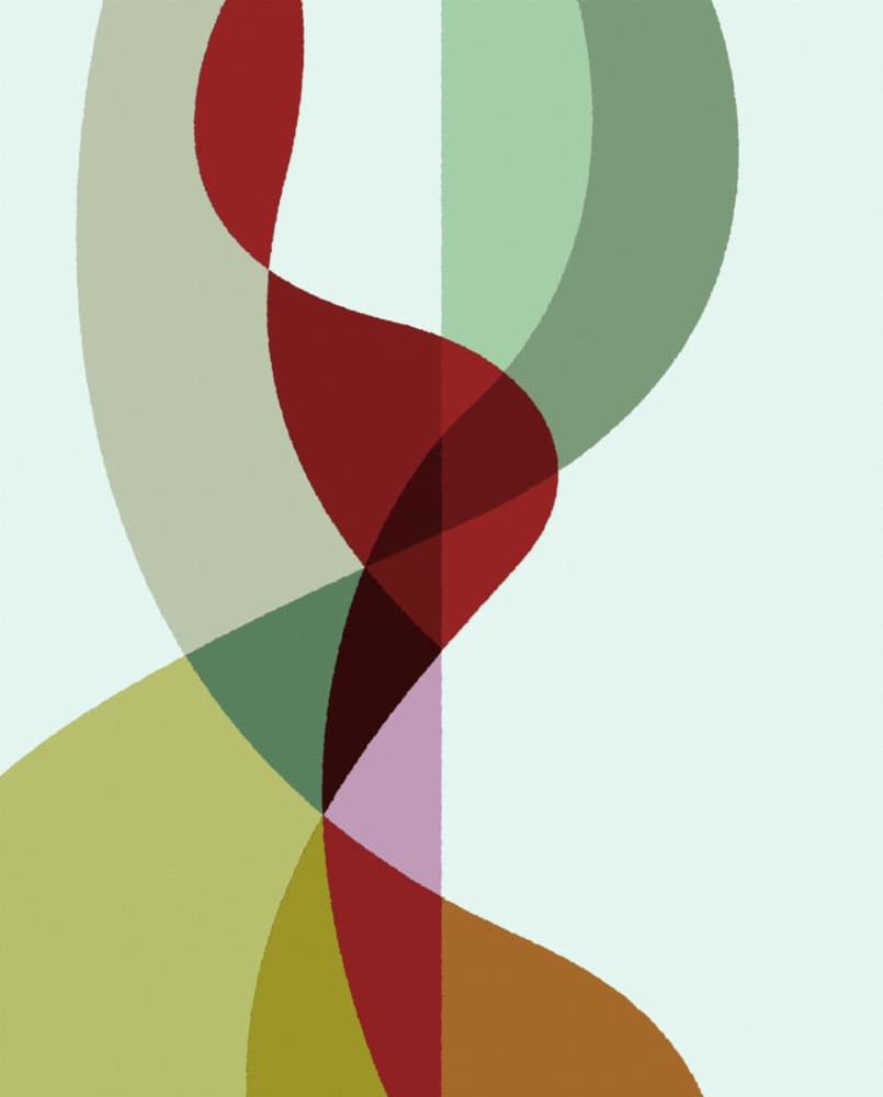 Harmonious Color Curves by Rafa Mateo — canvas wall art