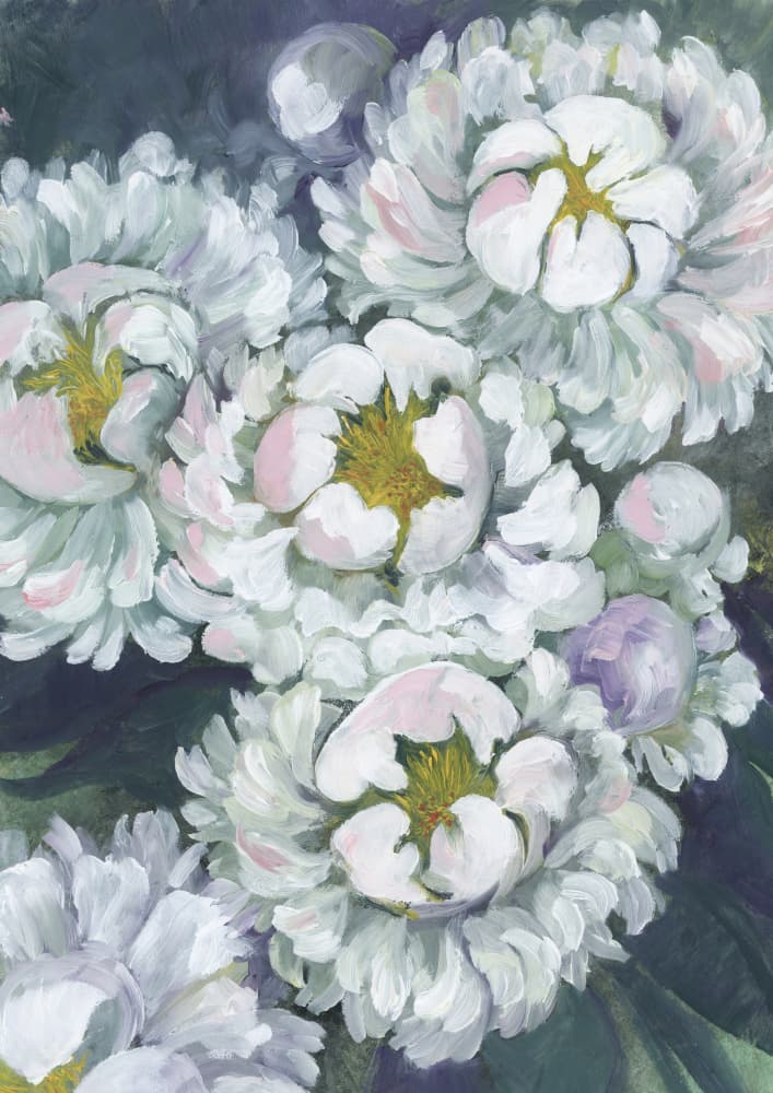 Soft White Peonies by Rosana Laiz Blursbyai — canvas wall art