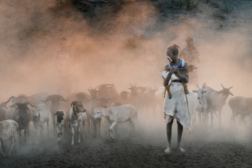 African Girl Dusty Herd by Trevor Cole — canvas wall art