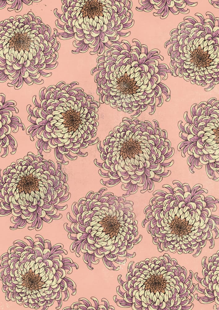 Vintage Pink Chrysanthemums by Nicholas — canvas wall art