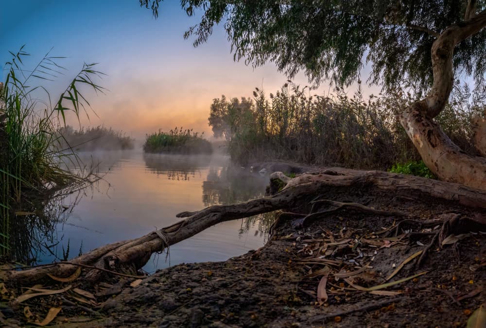 Misty Lake Sunrise by Svetlana Kirzh — canvas wall art