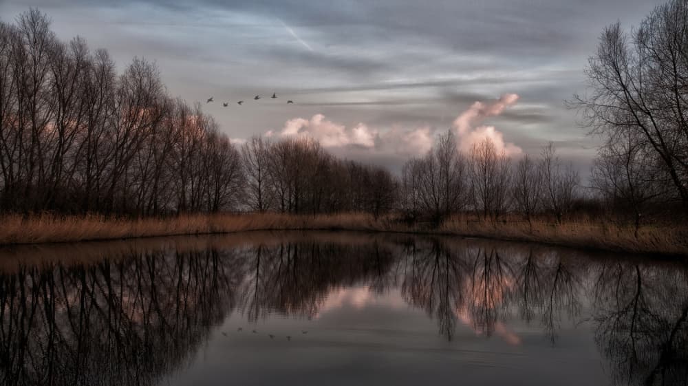 Tranquil Winter Reflection by Yvette Depaepe — canvas wall art