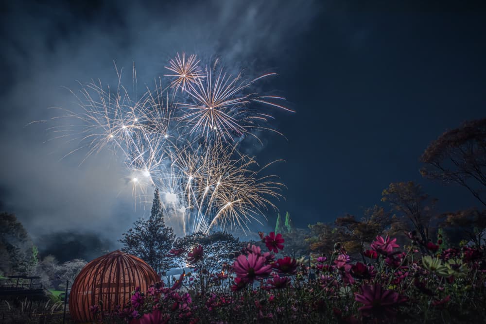 Night Fireworks Over Cosmos by まちゅばら/Hiroki Matsubara — canvas wall art