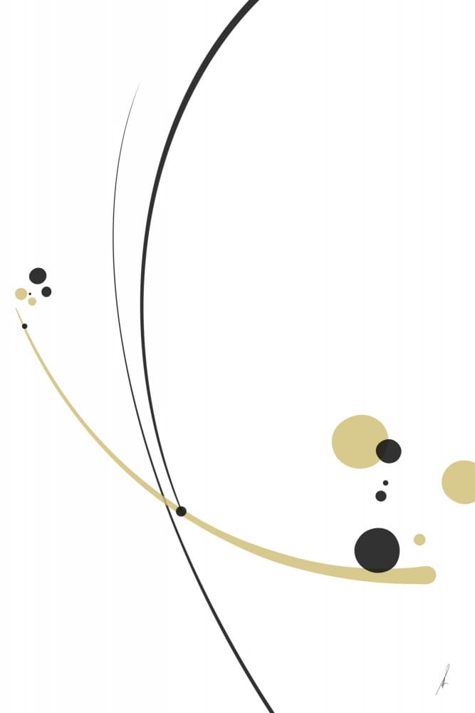 Elegant Abstract Curves by Ankie Kooi — canvas wall art