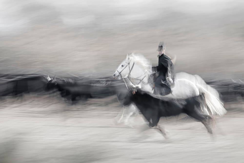 Equestrian Motion Blur by Martine Benezech — canvas wall art