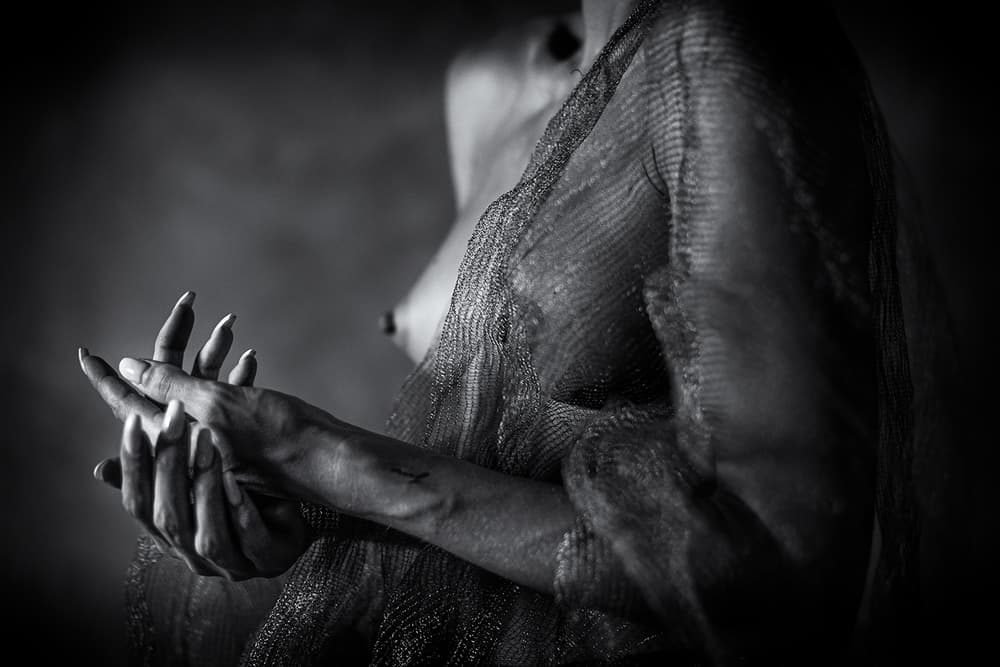 Elegant Hands Dark Mood by Joan Gil Raga — canvas wall art