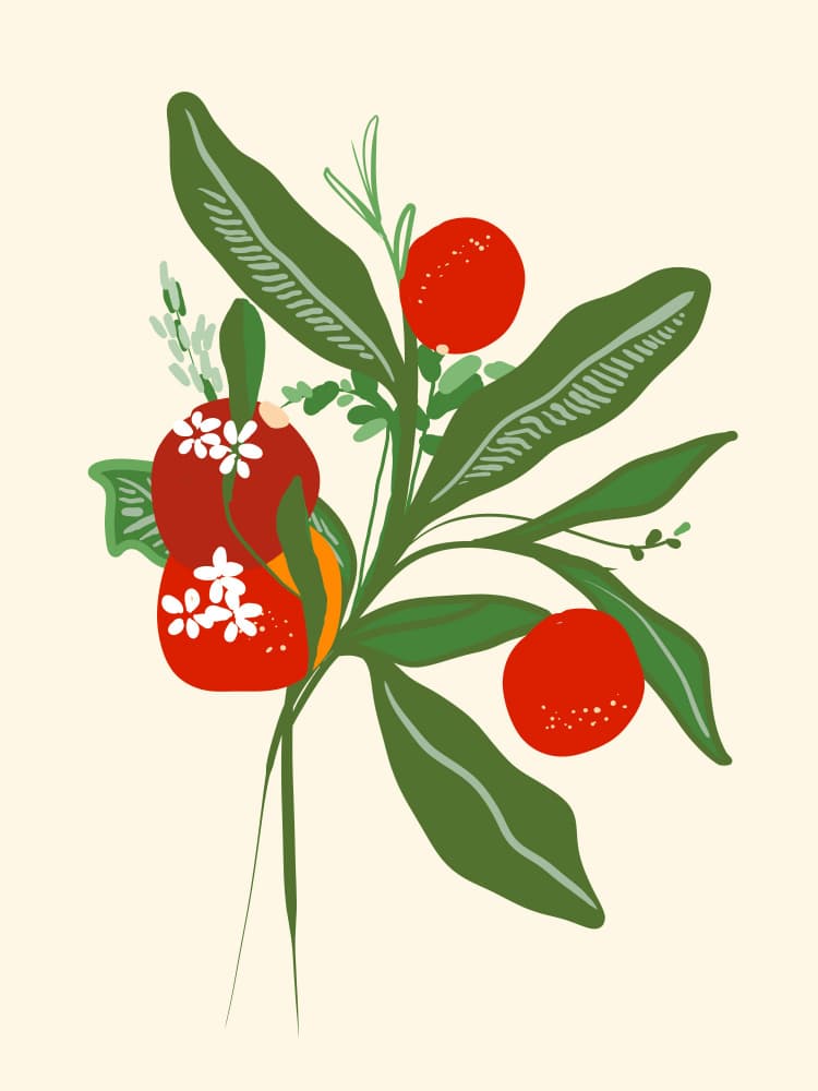 Abstract Botanical Berries by Josie George — canvas wall art