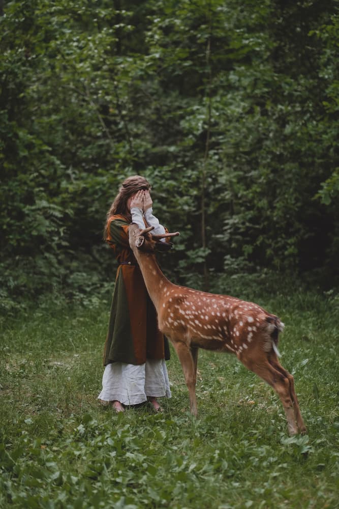 Enchanted Forest Fawn by Olga Barantseva — canvas wall art