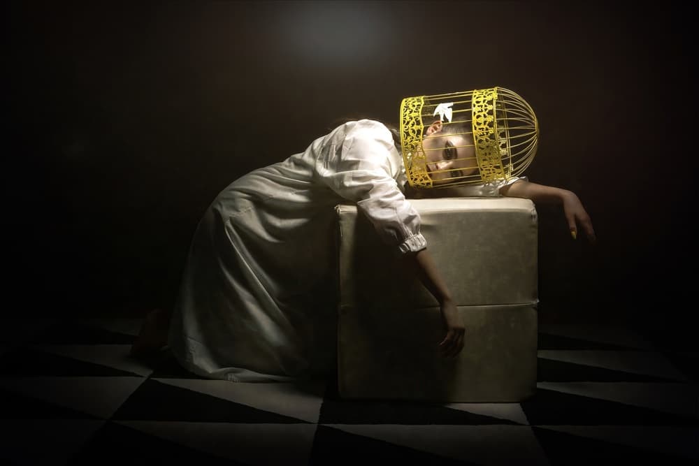 Woman In Golden Cage by Domenico Petrocca — canvas wall art