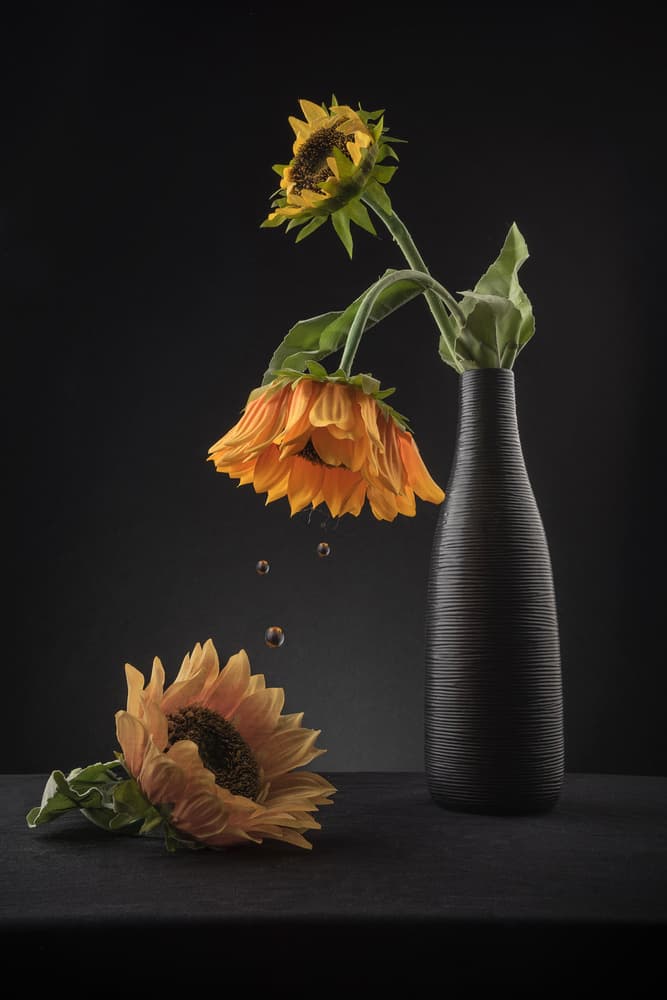 Wilting Sunflower Still Life by Ali Bader — canvas wall art