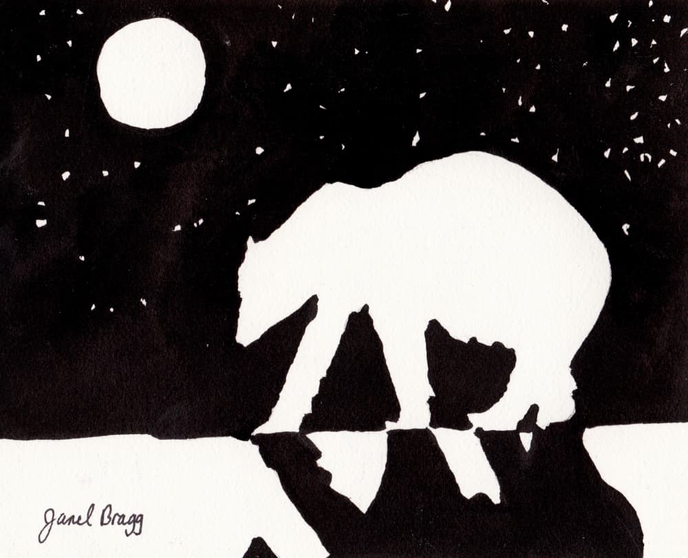Arctic Night Polar Bear by Janel Bragg — canvas wall art