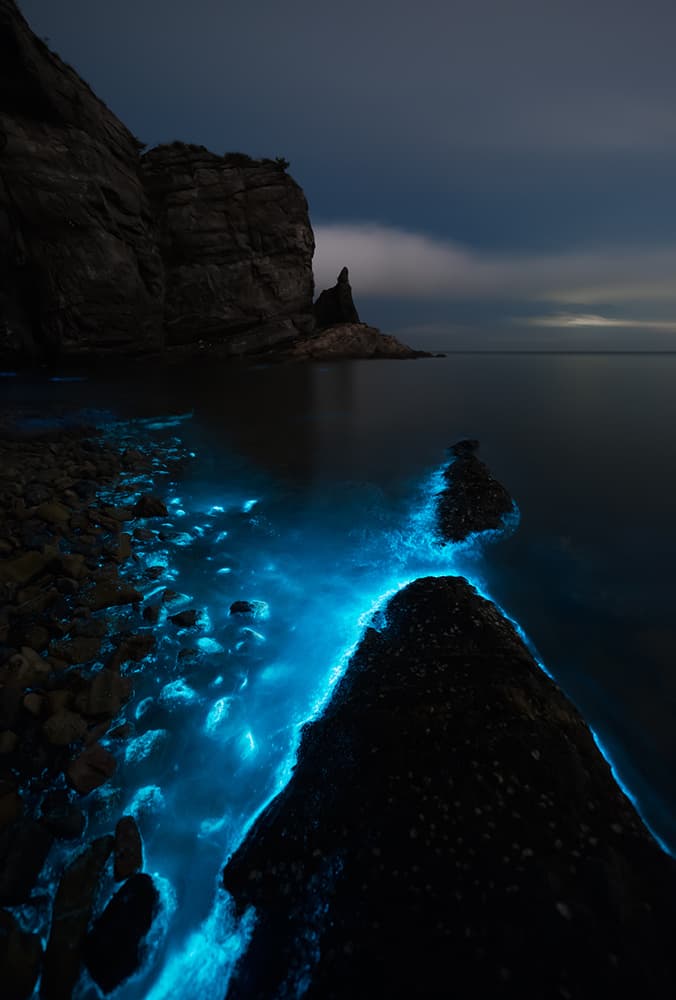 Bioluminescent Ocean Glow by Shanyewuyu — canvas wall art