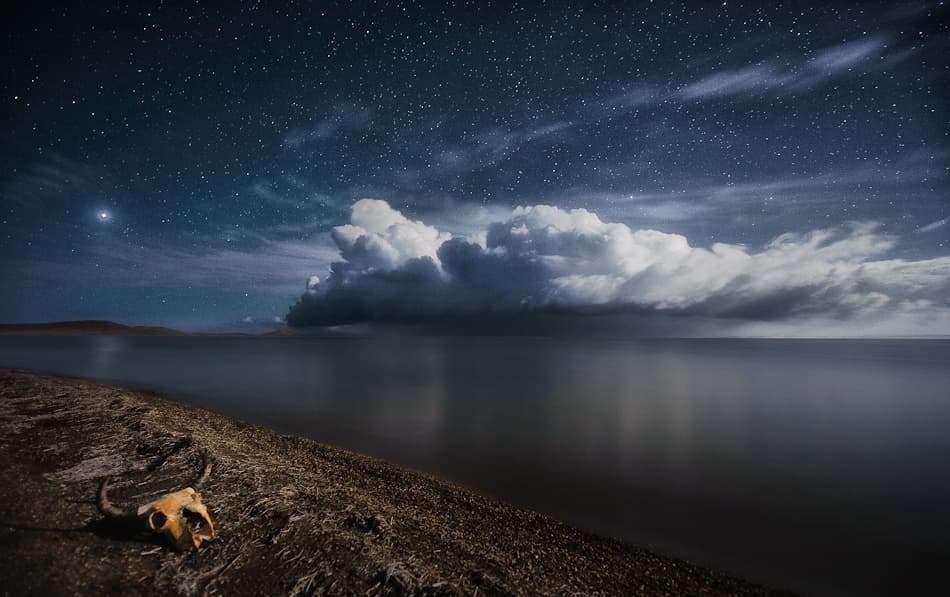 Cosmic Shore Skull by Nicolas Marino — canvas wall art