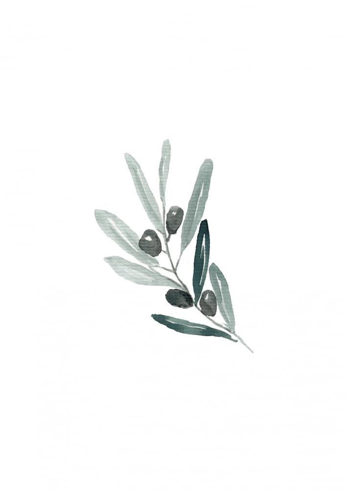 A4 Eucalyptus Branch by Anis Illustration — canvas wall art