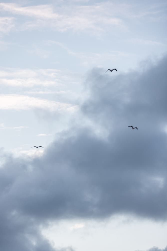 Flying High 11 by Mareike Böhmer — canvas wall art