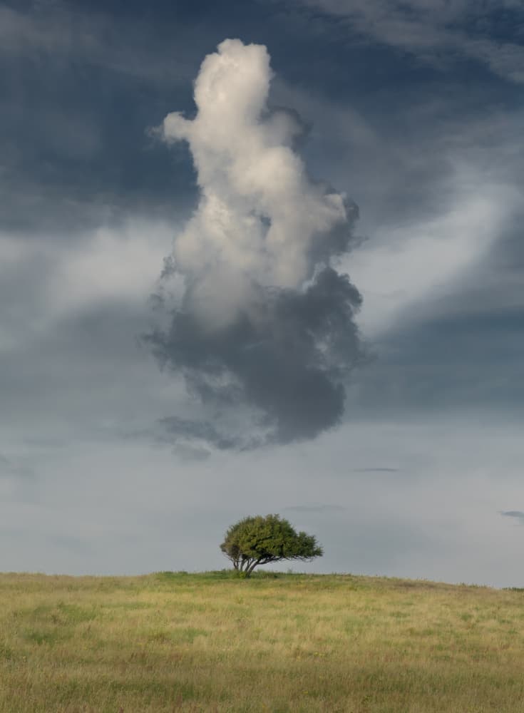 Lone Tree Cloudscape by Jakob Arnholtz — canvas wall art