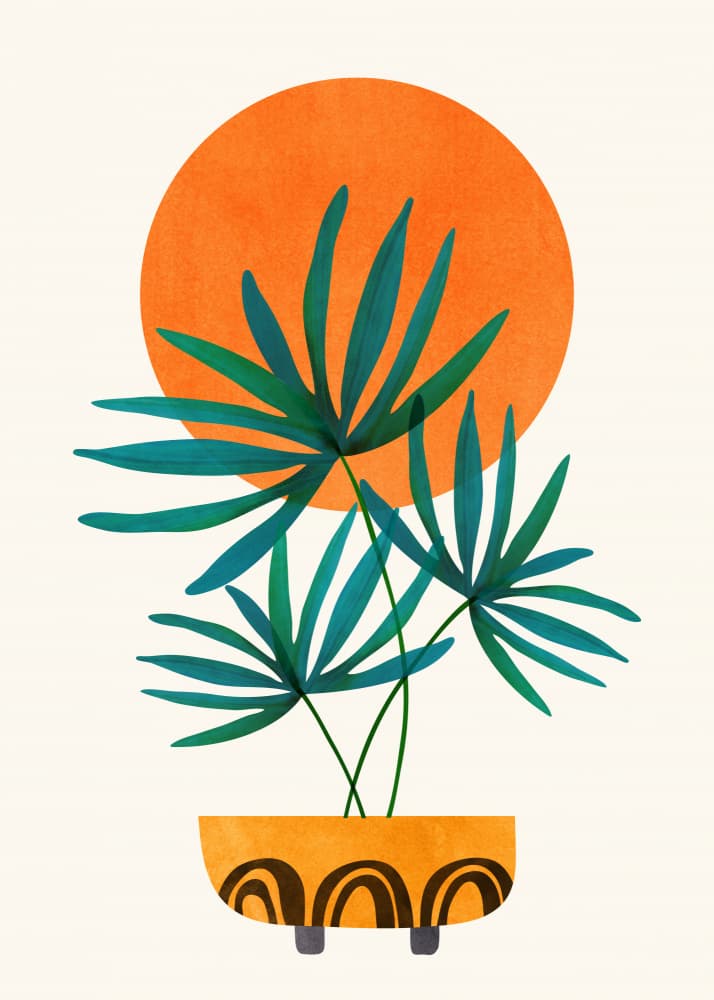 Little Palm and Sunshine 2 by Kristian Gallagher — canvas wall art