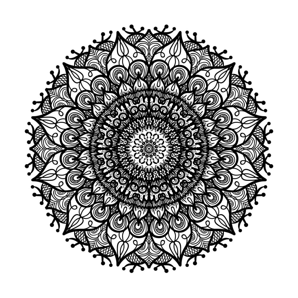 Intricate Black Mandala by Marika Barsrsind — canvas wall art