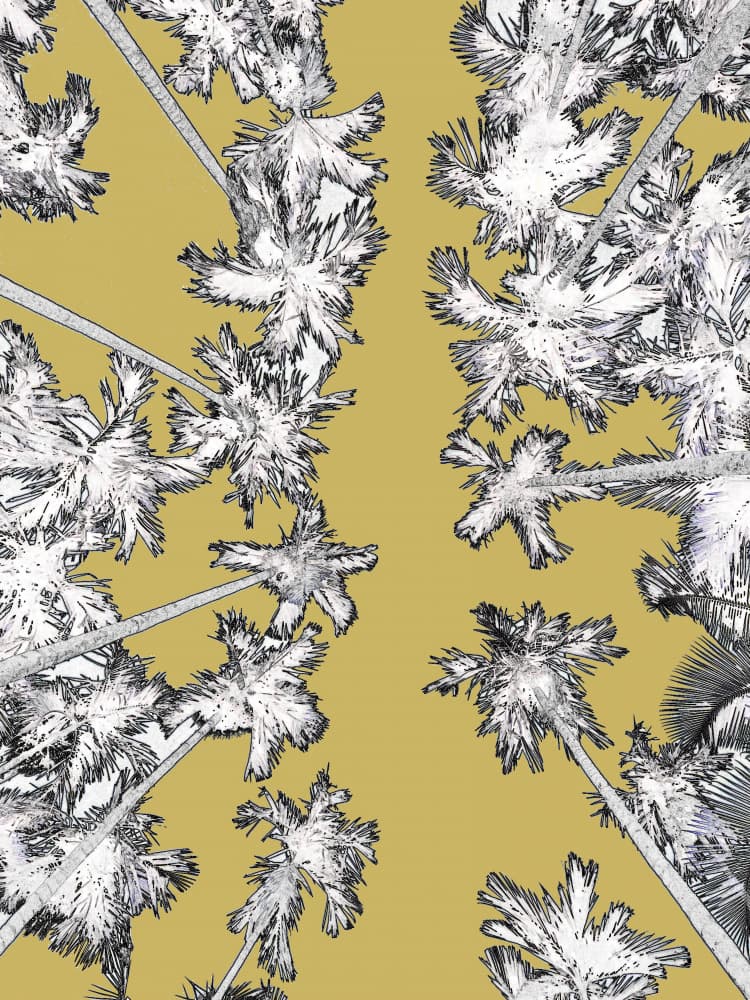 Golden Tropical Palms by Santhosh ch — canvas wall art