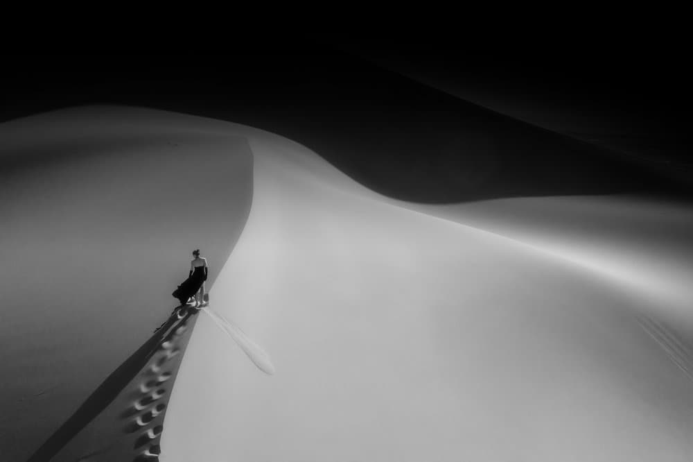 Solitary Dune Journey by Bingo Z — canvas wall art