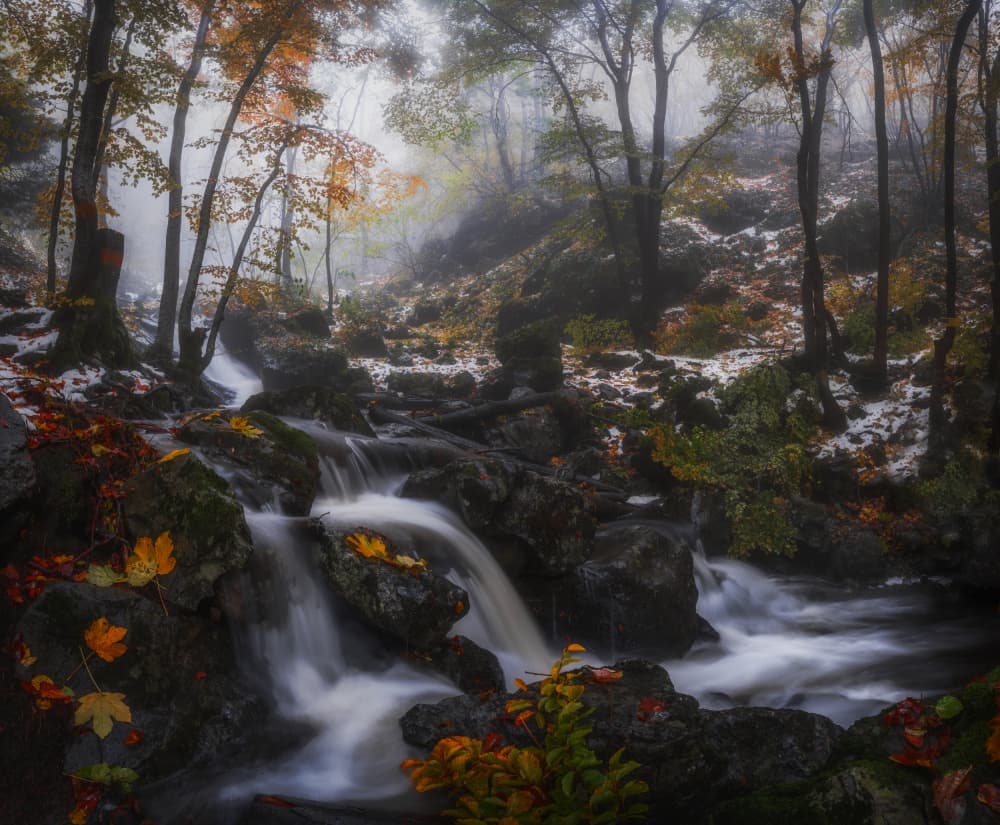 Misty Autumn Waterfall by Alexander Alexandrov — canvas wall art