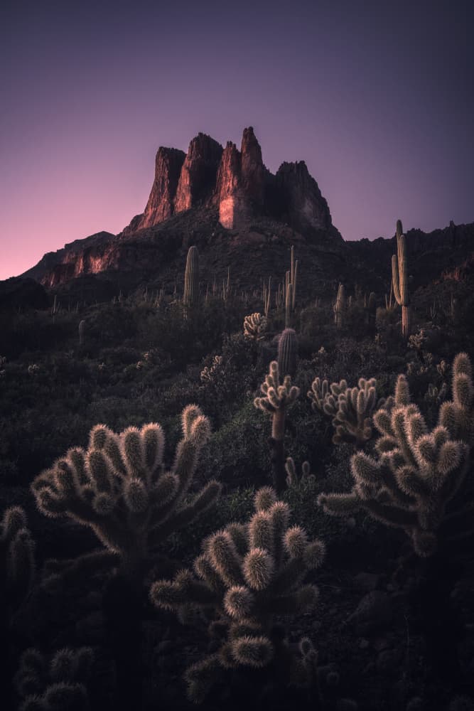 Desert Mountain Twilight by Willa Wei — canvas wall art