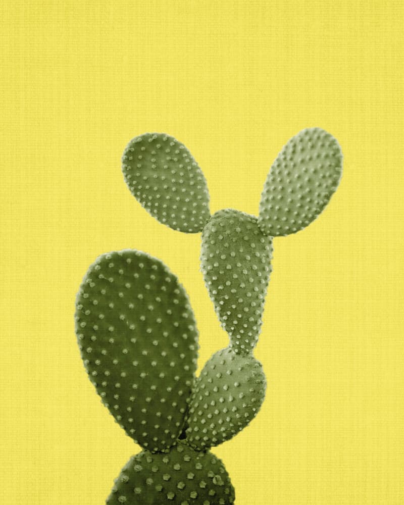 Bright Bunny Ears Cactus by Lila &amp; Lola — canvas wall art