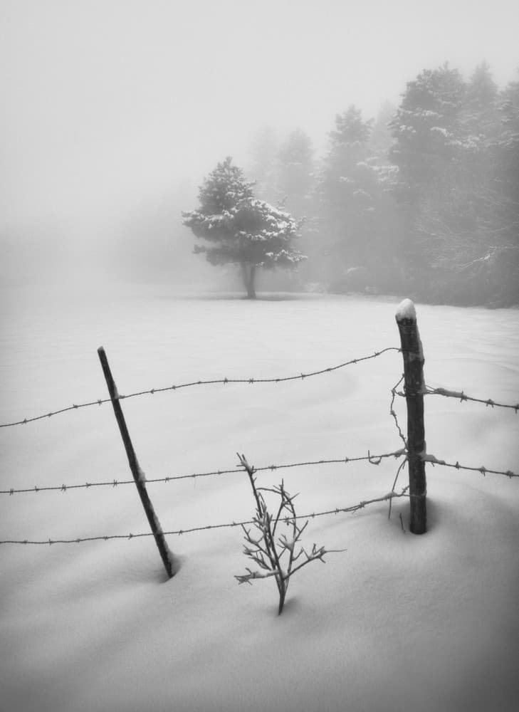 Misty Winter Fence by Alessandro Accordini — canvas wall art