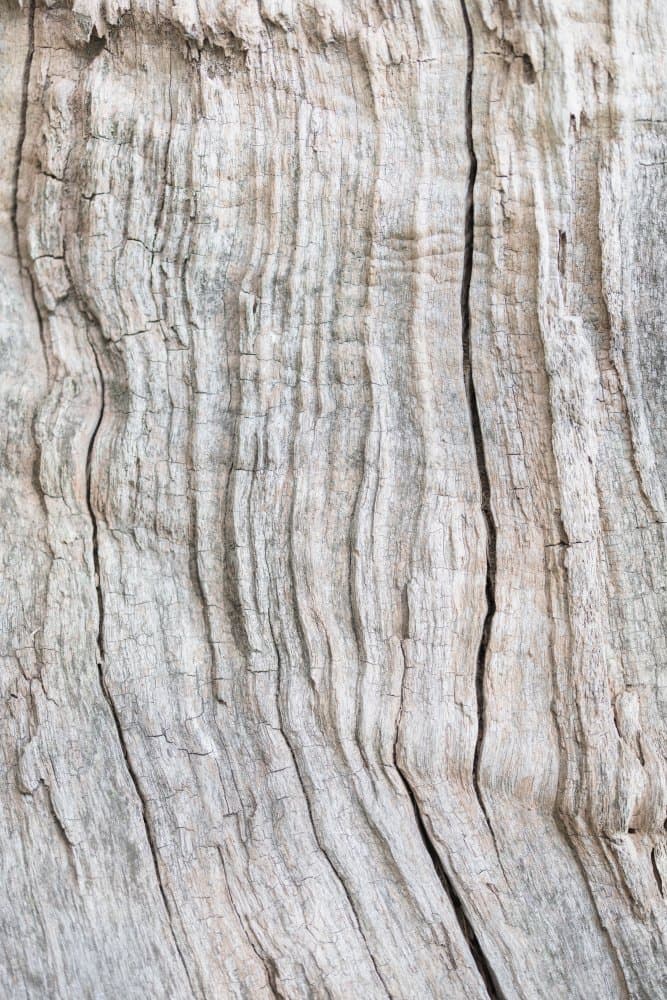 Weathered Wood Grain by Pictufy Studio III — canvas wall art