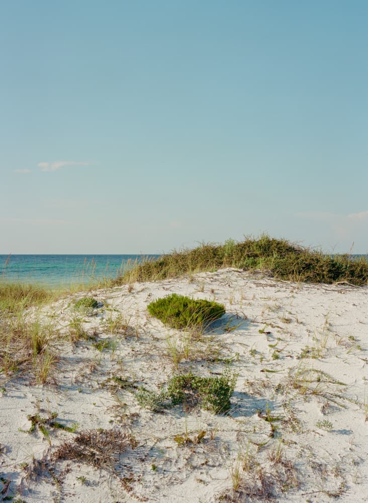 Sandy Beach Dunes by Bethany Young — canvas wall art