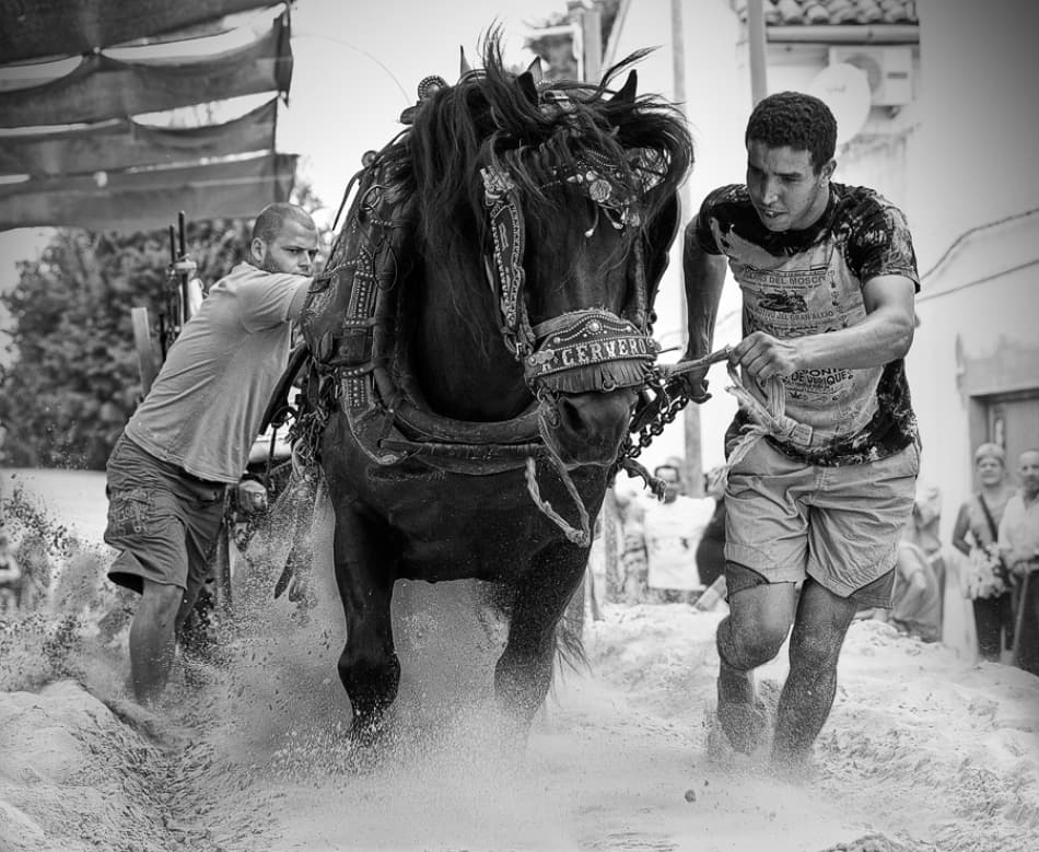 Powerful Horse Sand Race by Cesar March — canvas wall art