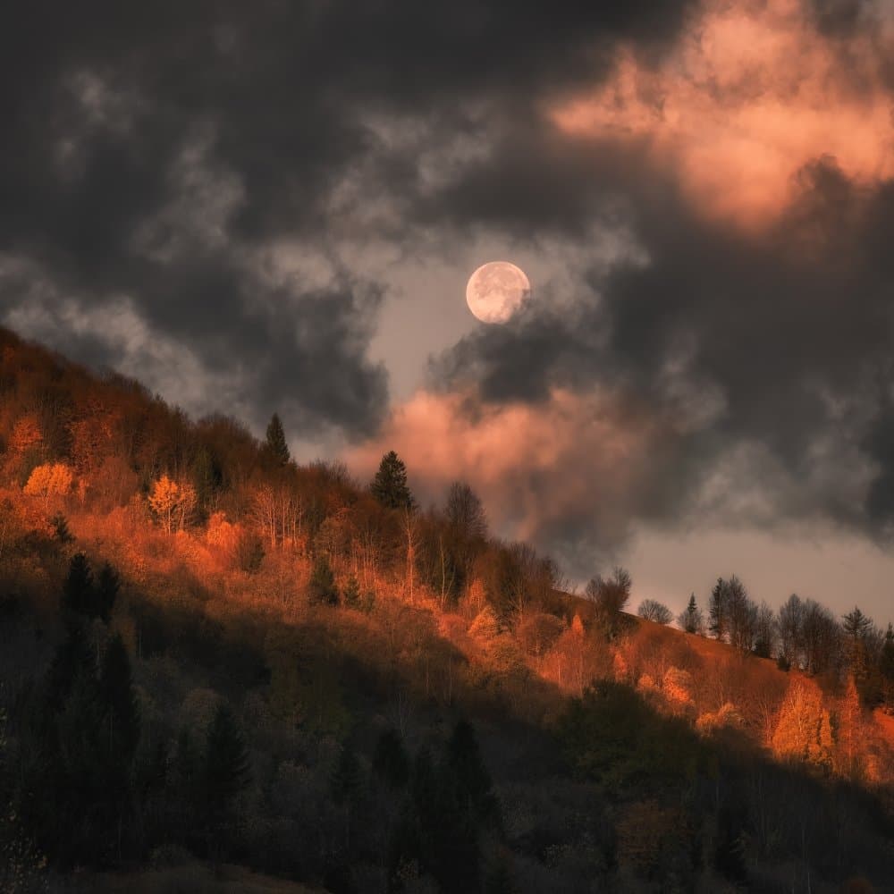 Mystical Autumn Moon by Haim Rosenfeld — canvas wall art