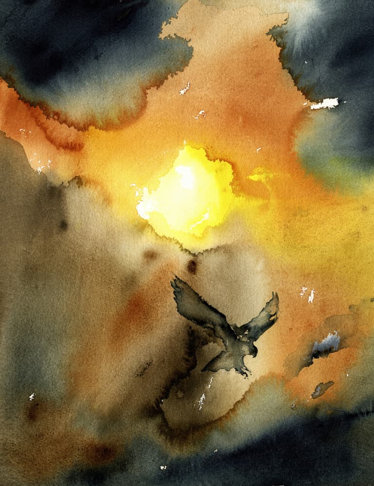 Eagle Soaring Sunset by RodMacIver — canvas wall art