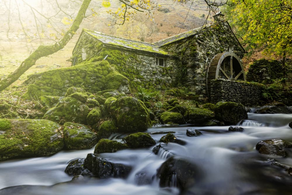Mossy Mill and Stream by Kutub Uddin — canvas wall art