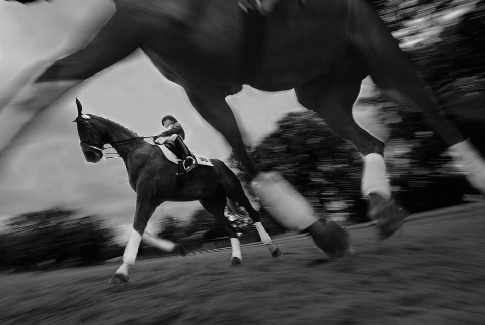 Galloping Horse Rider by Milan Malovrh — canvas wall art