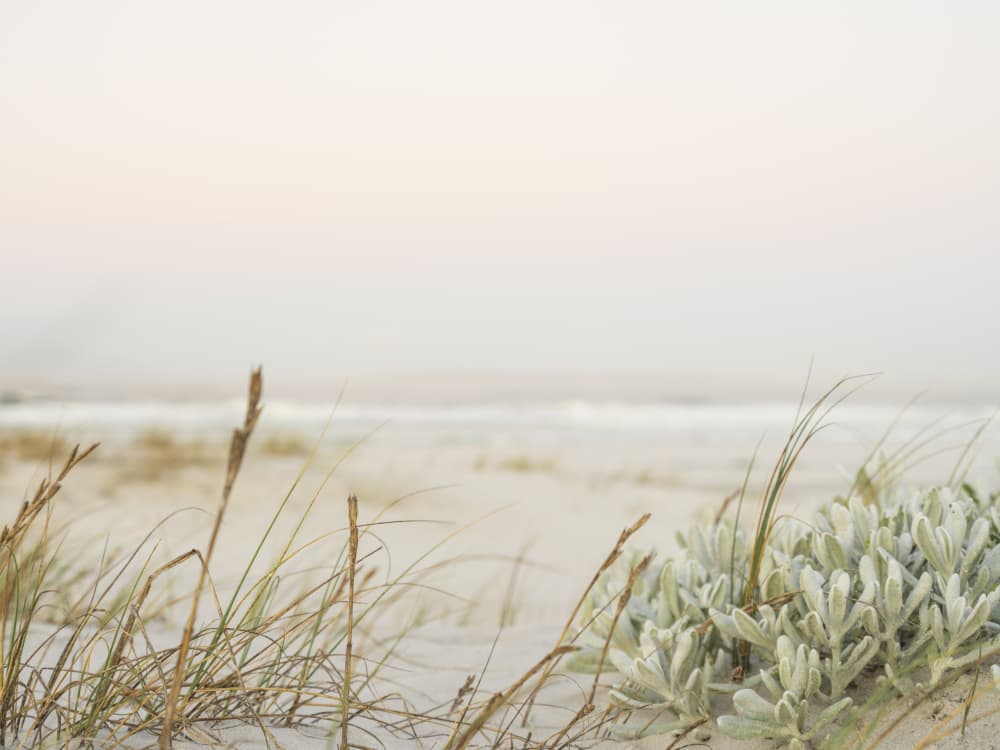 Coastal Whispers in Pastel by Ryno Botha — canvas wall art