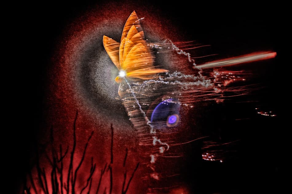 Exploding Butterfly Fireworks by Bjørn A Hveding — canvas wall art