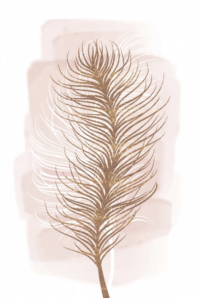 Golden Feather Blush by Martina — canvas wall art