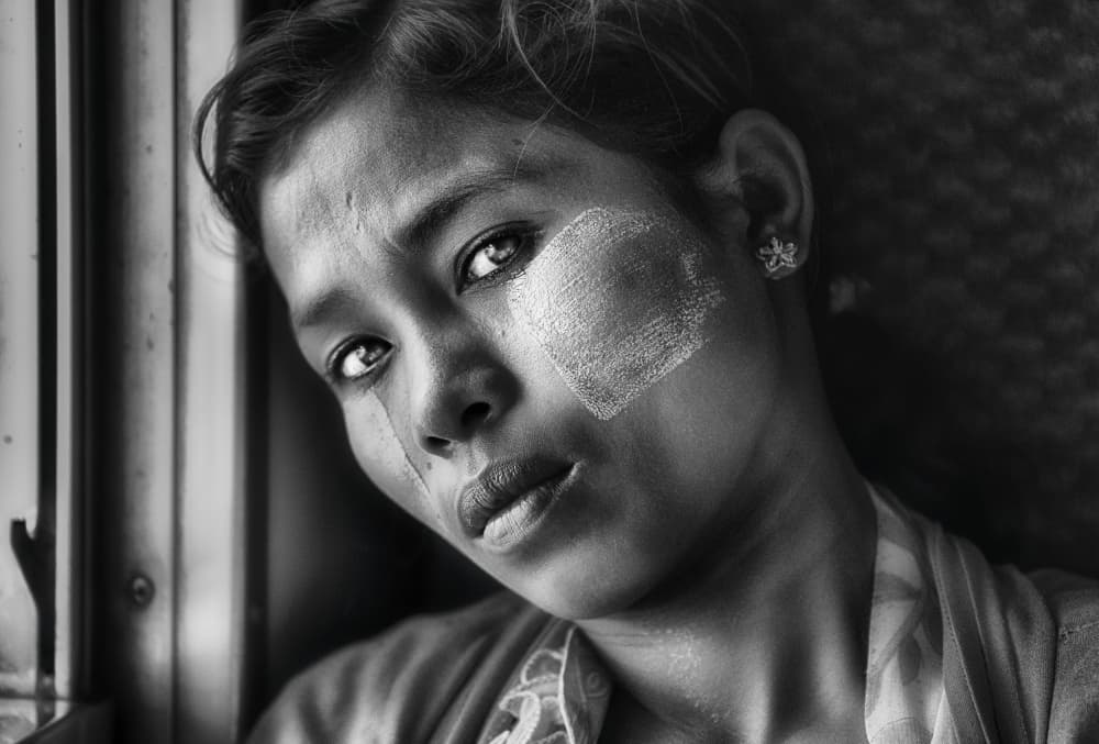 Thoughtful Burmese Gaze by Sergio Pandolfini — canvas wall art